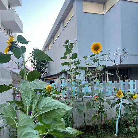 Sunflower * Ksamil